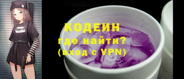 стаф Бородино