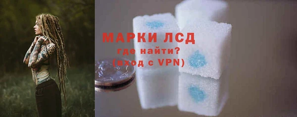 стаф Бородино