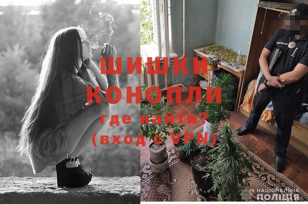 гидропоника Бронницы