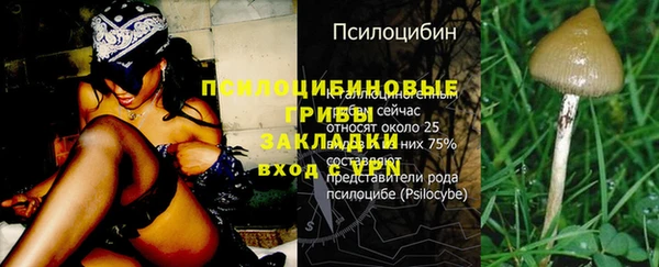 гидропоника Бронницы