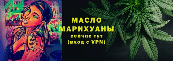 стаф Бородино