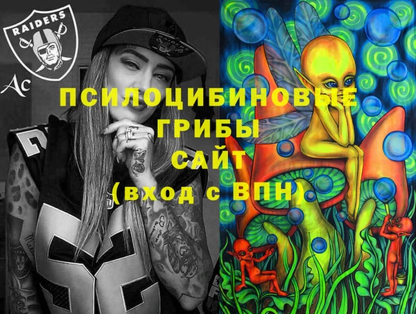 соль ск Бугульма