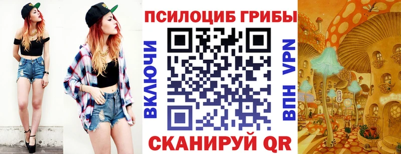 Псилоцибиновые грибы Psilocybe где найти наркотики Чебоксары